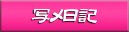 写メ日記