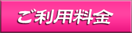 料金システム